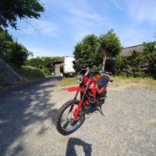 只今商談中 旧車 スズキ ハスラー水冷 50cc RGΓと同じエンジンと思います。