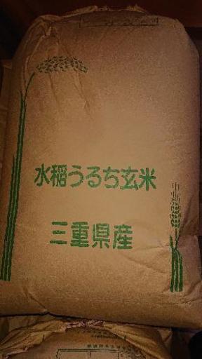 平成30年産 新米こしひかり30kg  玄米