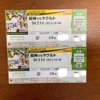 野球 5/21 阪神 vs ヤクルト 甲子園 グリーンシート ペア