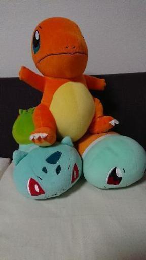 値下げ ポケモンぬいぐるみ 御三家セット 単品あり にっしー 楽々園のおもちゃ ぬいぐるみ の中古あげます 譲ります ジモティーで不用品の処分