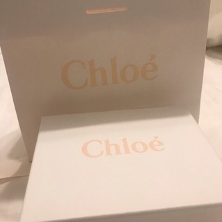 Chloe 2019春夏新作 新品未使用 箱・紙袋付き - 服/ファッション