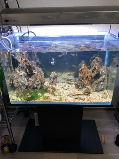 [受け渡し者決定]60cm水槽フルセット