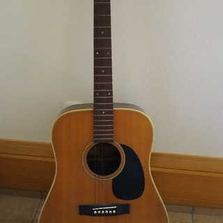 Morris W20 アコースティックギター