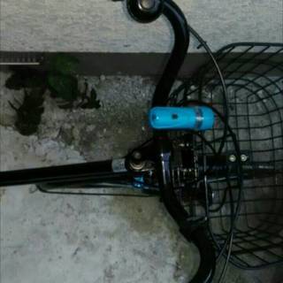 使用期間1か月の自転車　ギア付き-【新品未開封】エンビロン Ｃ－クエンスセラム２