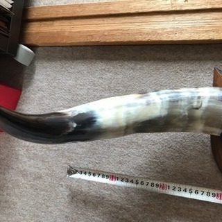 ☆水牛角・爪☆