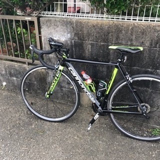 CAAD12
