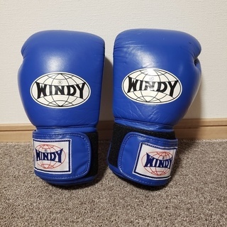 WINDY ボクシンググローブ　14オンス