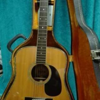モーリスギター　W-35