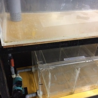 大型アクリルオーバーフロー水槽セット 1800