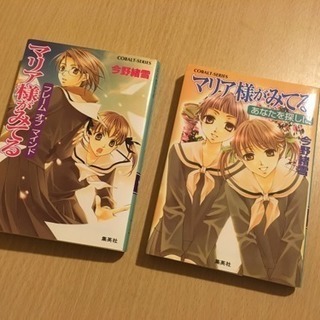 マリア様がみてる(2冊)バラ売り可