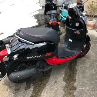 ホンダ ジョルノ 黒