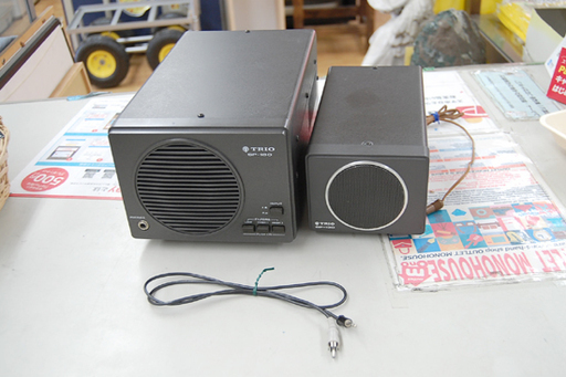 アクティブサブウーファー DENON DSW-555 75W デノン 日本