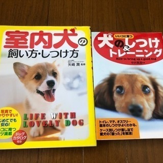 犬の飼い方、しつけ方  本