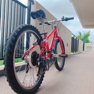 5％下げて出品中！子供用自転車【ルイガノ20インチ（赤）】男の子が乗っ