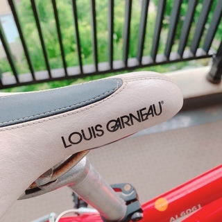 車のパーツ 5％下げて出品中！子供用自転車【ルイガノ20インチ（赤）】