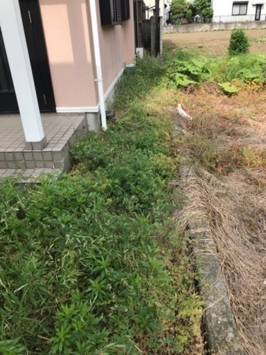 草刈り 除草 草取り 草むしり 庭管理 除草剤散布 内田商会 田沼の便利屋の無料広告 無料掲載の掲示板 ジモティー