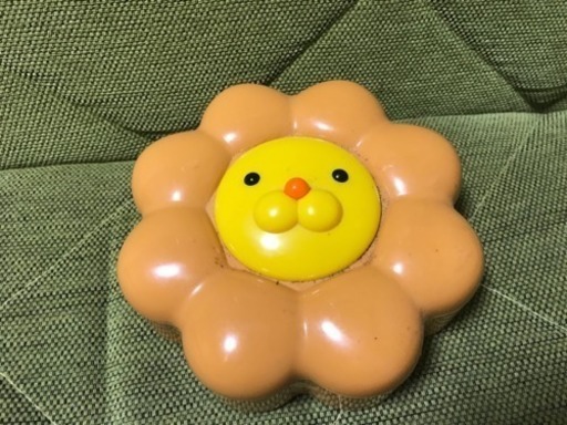 Hd限定ポンデライオン 壁紙 最高の花の画像