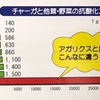 半額で！ 健康に高品質なチャーガゴールド300粒