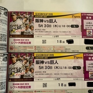 野球 5/30 阪神 vs 巨人 甲子園 レフト   ペア