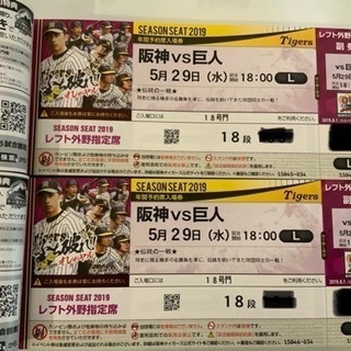 野球 5／29 阪神 vs 巨人 甲子園 レフト   ペア
