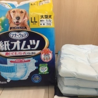 お取引き中・犬の介護用品 大型犬用オムツ マナーウェア LLサイズ