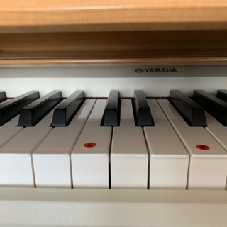 YAMAHA ARIUS 美品です。動作確認済みです。