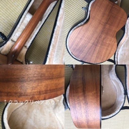 Tacoma 希少なオールコア総単板ギター コンデンサーマイク内蔵 タコマ