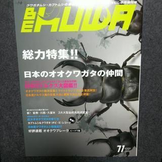 （受け渡し完了）ビークワ 71春号（新品）日本のドルクス大図鑑