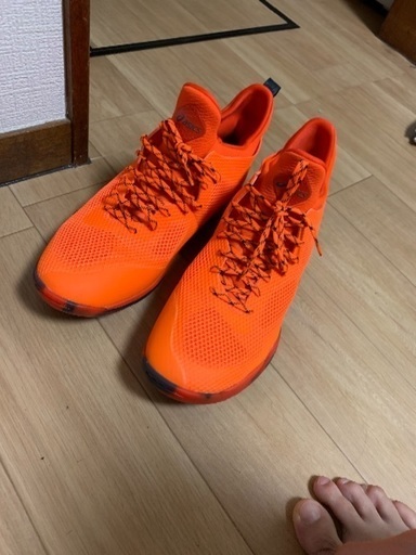 買ったところだ
