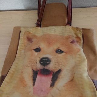 埼玉県の柴犬 中古あげます 譲ります ジモティーで不用品の処分