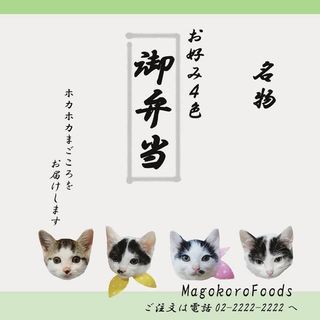 6月2日(日)の猫の譲渡会に出します❤️黒白男の子生後２ヶ月 琉球・奄美大島特集も炸裂 かわいい子猫たくさんいます。 - 猫