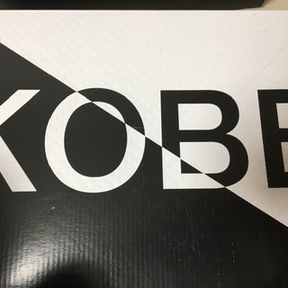 NIKE KOBE AD NXT MAMBA DAY ナイキ　コ...