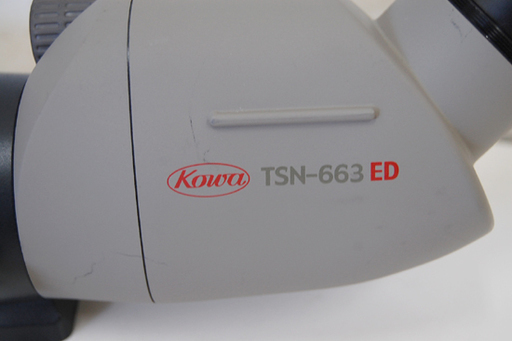 Kowa/コーワ スポッティングスコープ TSN-663 ED 傾斜型 PROMINAR 20 