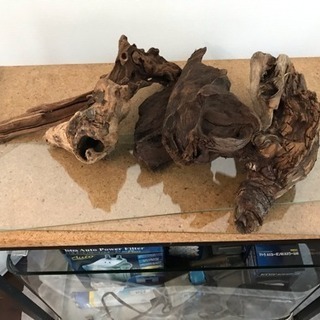 テトラ 水槽セット 60cm x 40cm x 30cm