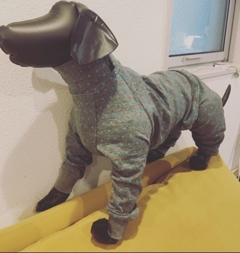 わんこ服 作りませんか 犬服 Nakano 新宿の手芸の生徒募集 教室 スクールの広告掲示板 ジモティー