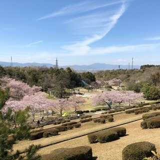 関西で色々な趣味をお持ちの方。