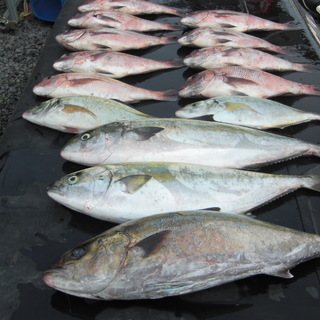 釣り − 三重県