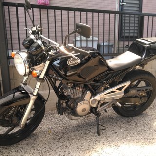 スズキ　グース250（350仕様）