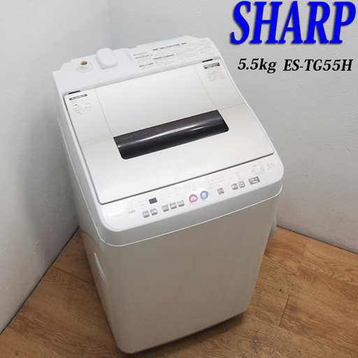 送料込 Agイオン 洗濯乾燥機 5.5kg DS10