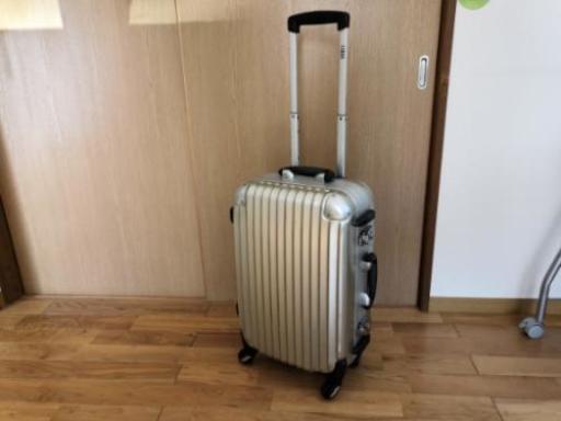 キャリーバッグ(機内持ち込み可)