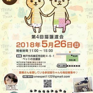 第４回猫ちゃん譲渡会＆ミニチャリティーバザー