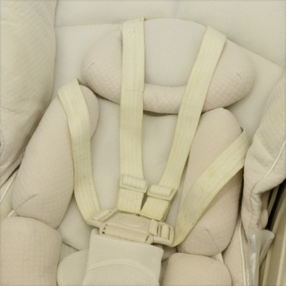 電動ハイローチェア オートスィング EXロアンジュAT LY (0220293565-T)