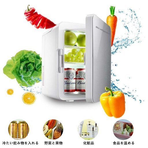 新品 VOKUA 冷温庫 ミニ冷蔵庫 10L 小型でポータブル 家庭 車載両用