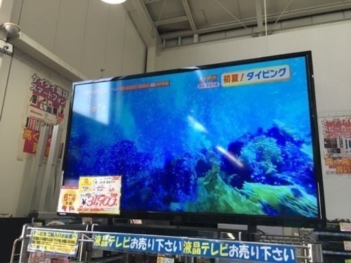 2015年製 TOSHIBA 東芝 40型液晶テレビ REGZA 40S8