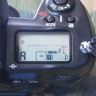 Nikon　D1X 　中古