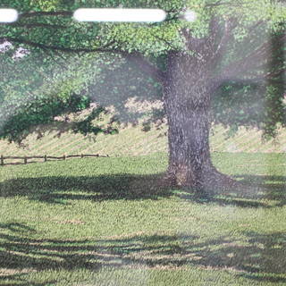 634)キャロル コレット CAROL COLLETTE 版画 「Summer Day Ⅱ 634)キャロル コレット CAROL COLLETTE 版画 「Summer Day Ⅱ