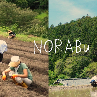NORABu 野菜の苗植え体験