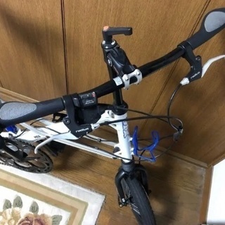 OX BIKES PECO 12インチ