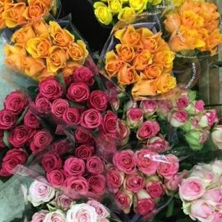 薔薇大束で1000円