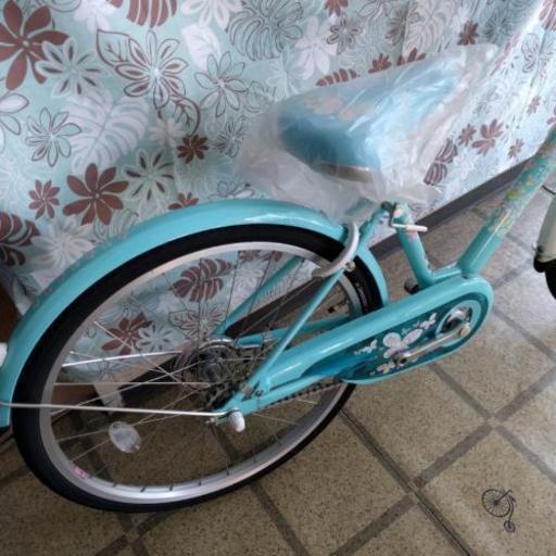 ブリジストン エコパルモカ 22インチ 自転車本体 Www Bloompsychologyservices Com ブリジストン エコパルモカ 22インチ 自転車本体 Www Bloompsychologyservices Com